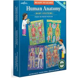 Human Anatomy 4 x 48 Piece Puzzle Set