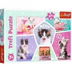 Feline Pranks 200 Piece Puzzle