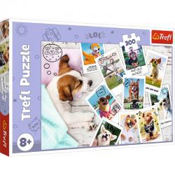 Happy Dog Holiday Pictures 300 Piece Puzzle