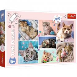 In the Cat World 100 Piece Puzzle